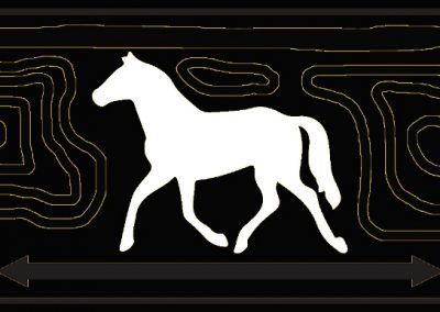 The Glory Story Record Company Logo The Horse